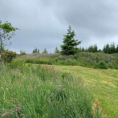 photo of Snoqualmie Point Park