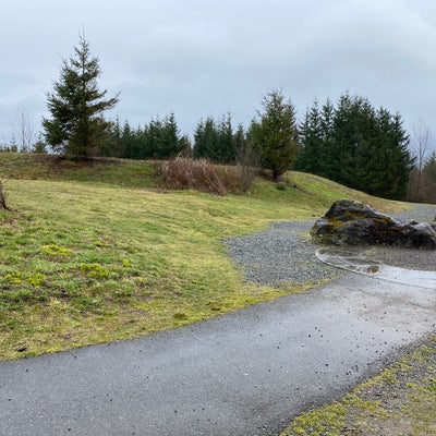 photo of Snoqualmie Point Park