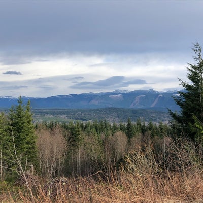 photo of Snoqualmie Point Park