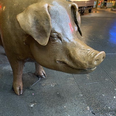 photo of Rachel the Pig at Pike Place Market