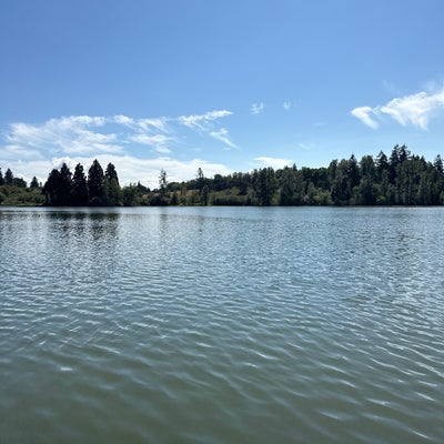 photo of Fort Steilacoom Park Discovery Trail Orienteering