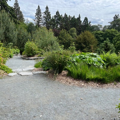 photo of Washington Park Arboretum Gazebo