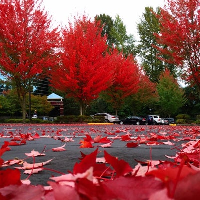 photo of Umpqua Bank Home Loan Division