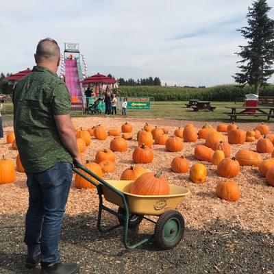 photo of Hunter's Pumpkin Patch