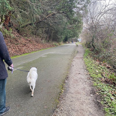 photo of Seward Park Loop