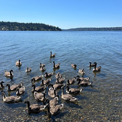 photo of Seward Park Loop