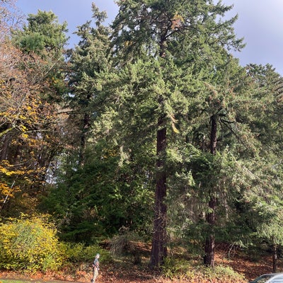 photo of Seward Park Loop