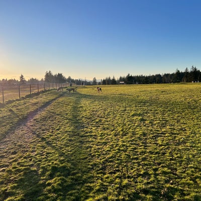 photo of Thurston County Off-Leash Dog Park