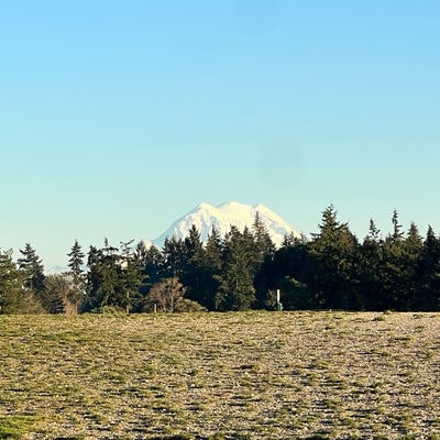 photo of Thurston County Off-Leash Dog Park