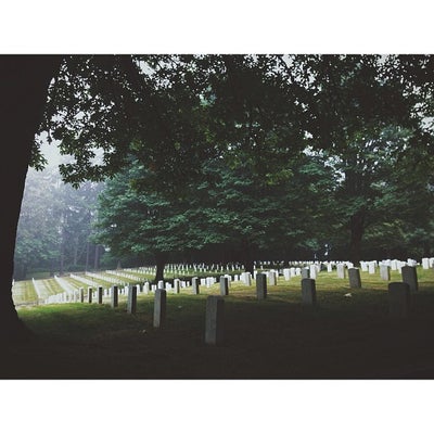 photo of Fort Lawton Military Cemetery