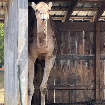 photo of Overlook Farm