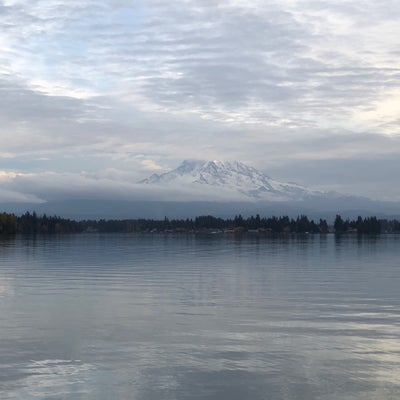 photo of Driftwood Point Park