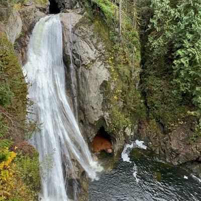 photo of Twin Falls