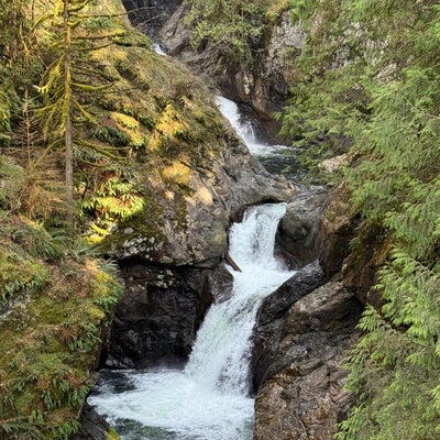 photo of Twin Falls