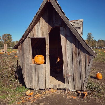 photo of Schilter Family Farm