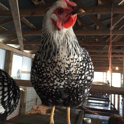 photo of Schilter Family Farm