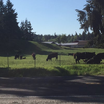 photo of Interstate 5 (I-5/I5) at Exit 88