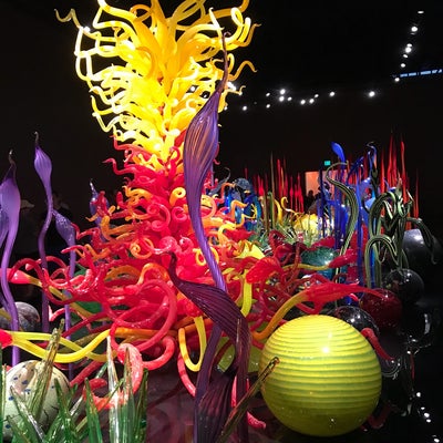 photo of Chihuly Garden and Glass