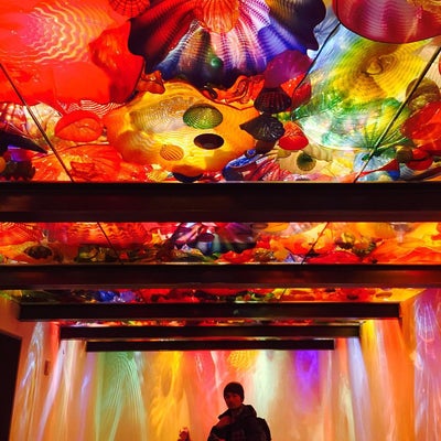 photo of Chihuly Garden and Glass