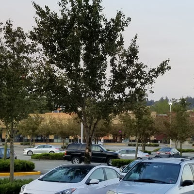 photo of Bella Bottega Shopping Center