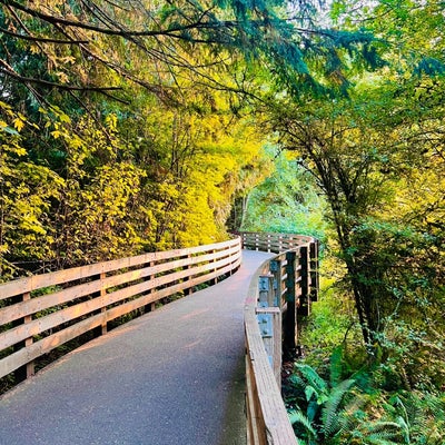 photo of Nathan Chapman Memorial Trail