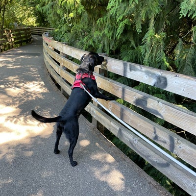 photo of Nathan Chapman Memorial Trail