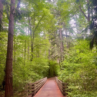 photo of Nathan Chapman Memorial Trail