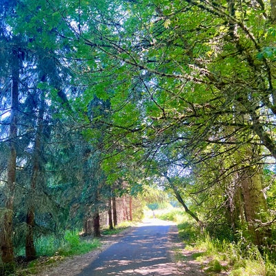 photo of Nathan Chapman Memorial Trail