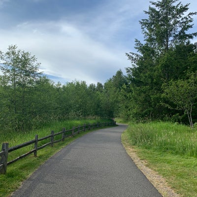 photo of Nathan Chapman Memorial Trail