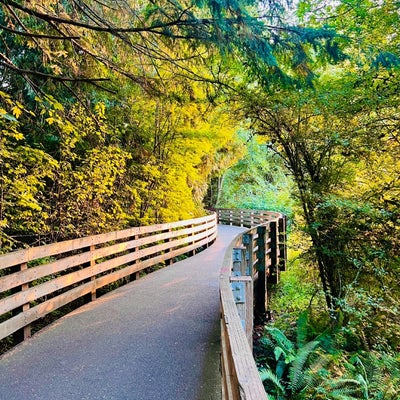 photo of Nathan Chapman Memorial Trail