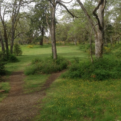 photo of Fort Steillacoom Disc Golf Course