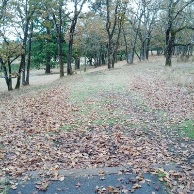 photo of Fort Steillacoom Disc Golf Course