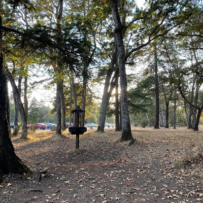 photo of Fort Steillacoom Disc Golf Course