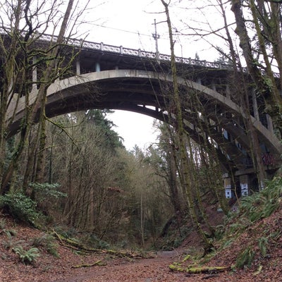 photo of Proctor Bridge