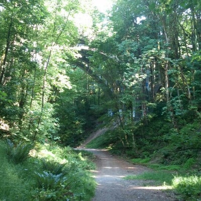 photo of Proctor Bridge