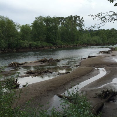 photo of Nisqually River