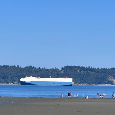 photo of Dash Point Beach