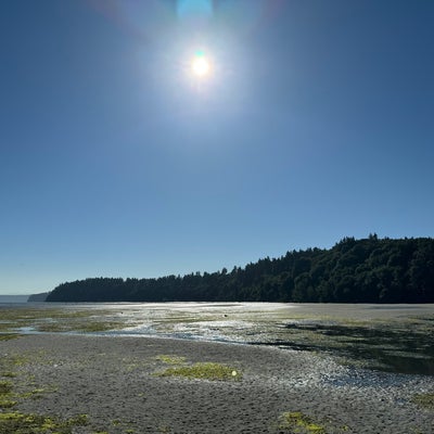 photo of Dash Point Beach