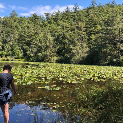 photo of Fort Casey Dive Park