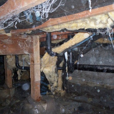 photo of Clean Crawls – Insulation Install & Removal: Lakewood