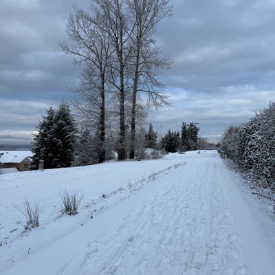 photo of Cross Kirkland Corridor