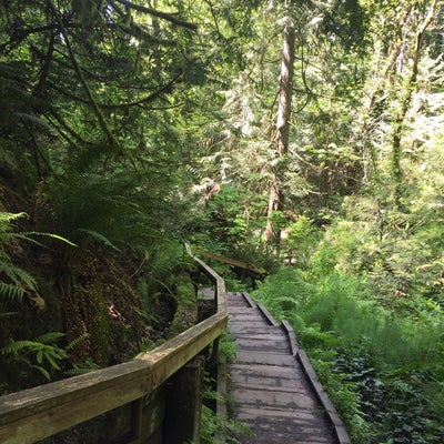 photo of Beach Trail at Burfoot Park