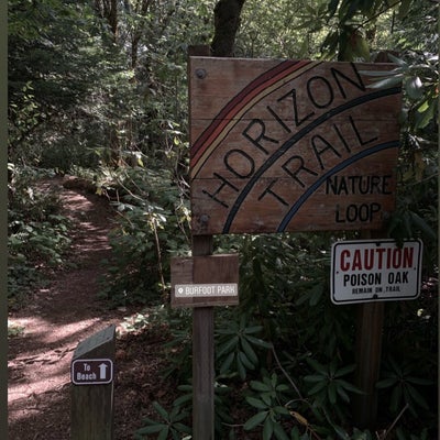 photo of Beach Trail at Burfoot Park