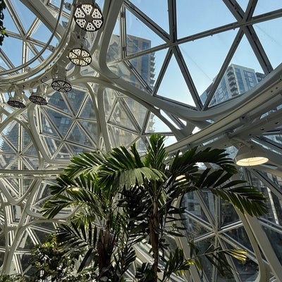 photo of Amazon - The Spheres