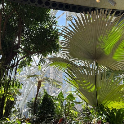 photo of Amazon - The Spheres