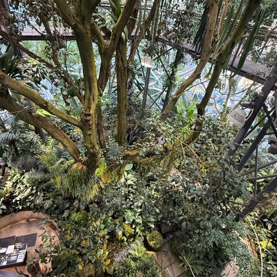 photo of Amazon - The Spheres