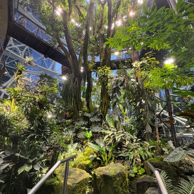 photo of Amazon - The Spheres