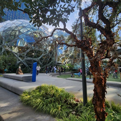 photo of Amazon - The Spheres