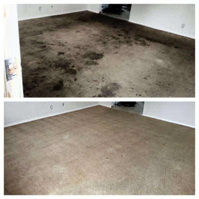 photo of New Life Carpet Cleaning Inc.