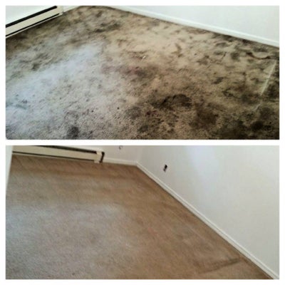 photo of New Life Carpet Cleaning Inc.